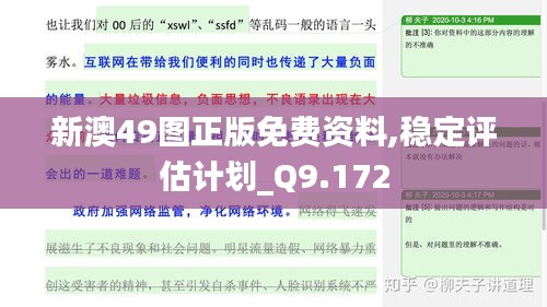 新澳49图正版免费资料,稳定评估计划_Q9.172