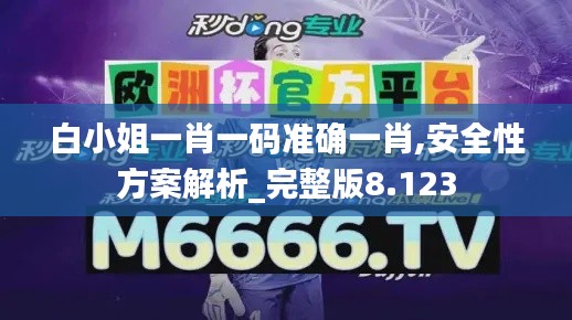 白小姐一肖一码准确一肖,安全性方案解析_完整版8.123