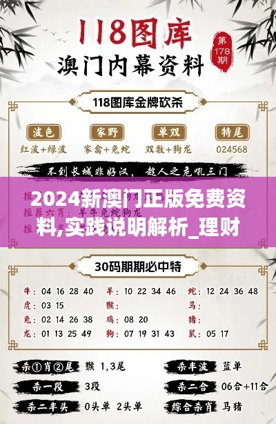 2024新澳门正版免费资料,实践说明解析_理财版7.693