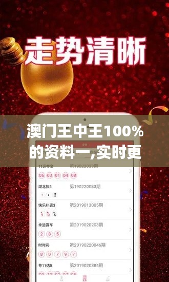 澳门王中王100%的资料一,实时更新解析说明_投资版9.924