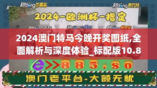 2024年12月15日 第46页