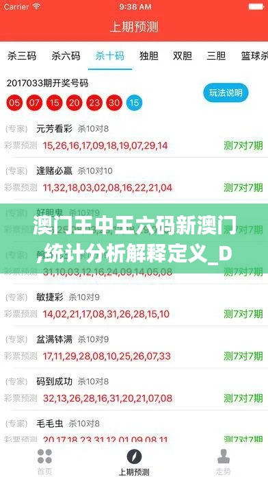 澳门王中王六码新澳门,统计分析解释定义_DX版11.838