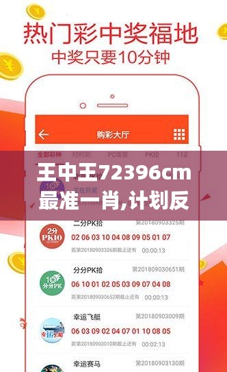 王中王72396cm最准一肖,计划反馈执行_豪华款6.275