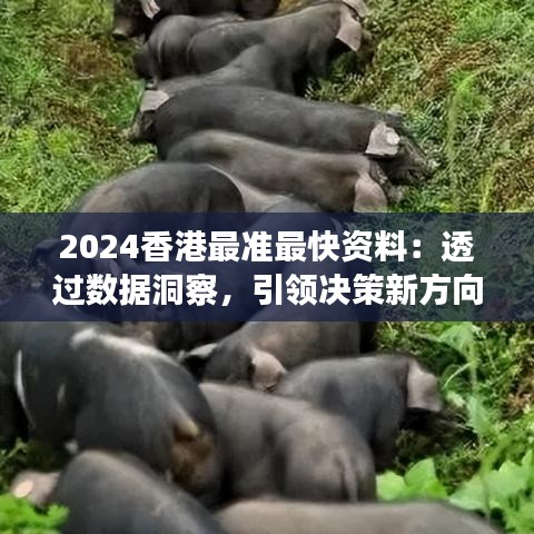 2024香港最准最快资料：透过数据洞察，引领决策新方向