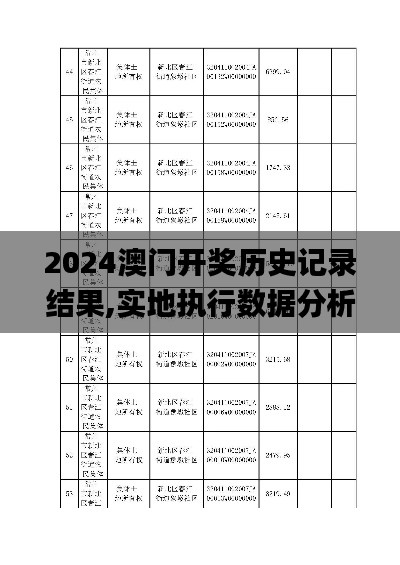 2024澳门开奖历史记录结果,实地执行数据分析_Chromebook9.806