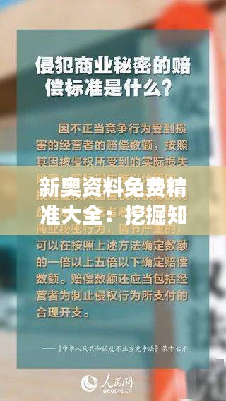 新奥资料免费精准大全：挖掘知识的金钥匙，免费且精确