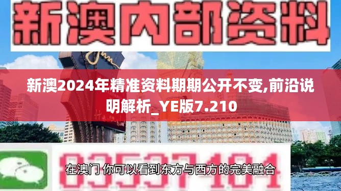 新澳2024年精准资料期期公开不变,前沿说明解析_YE版7.210