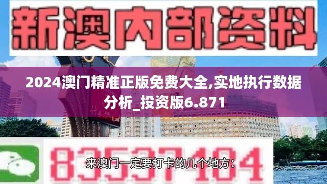 2024澳门精准正版免费大全,实地执行数据分析_投资版6.871