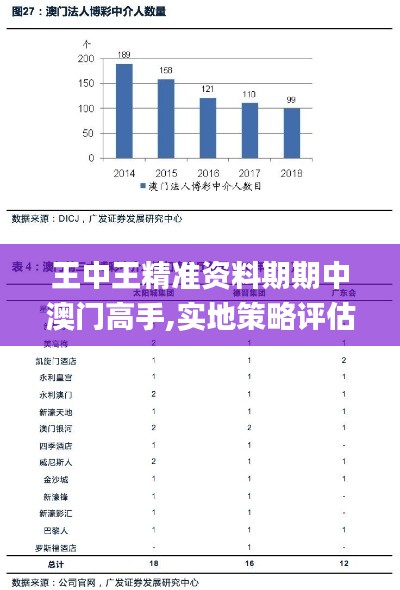 王中王精准资料期期中澳门高手,实地策略评估数据_8DM2.746