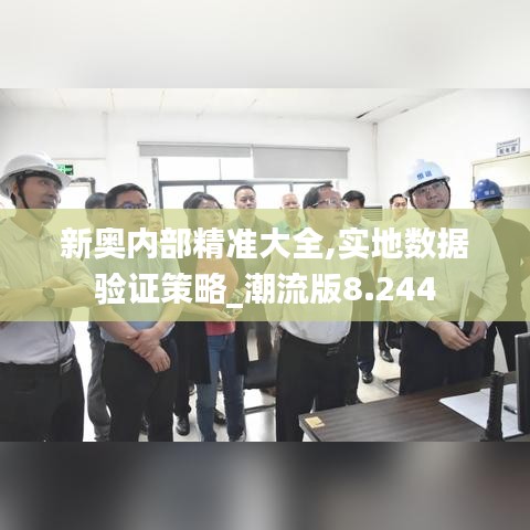 新奥内部精准大全,实地数据验证策略_潮流版8.244