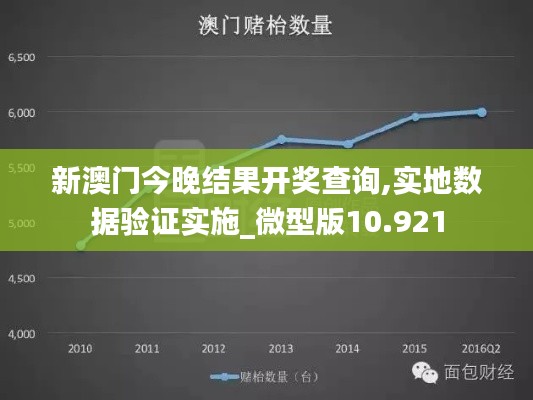 新澳门今晚结果开奖查询,实地数据验证实施_微型版10.921