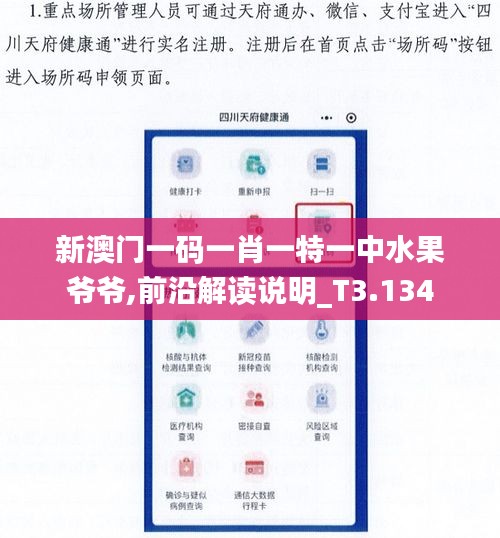 新澳门一码一肖一特一中水果爷爷,前沿解读说明_T3.134
