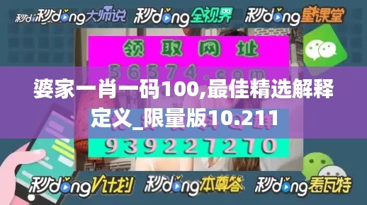 婆家一肖一码100,最佳精选解释定义_限量版10.211