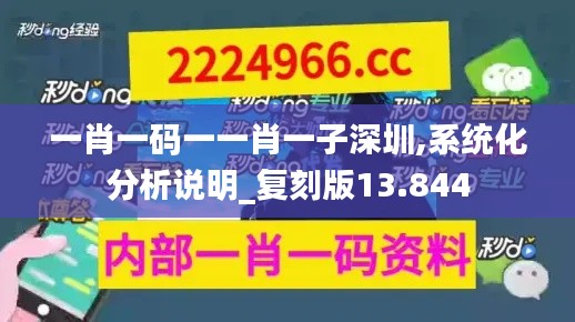 一肖一码一一肖一子深圳,系统化分析说明_复刻版13.844