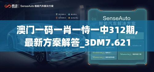 澳门一码一肖一恃一中312期,最新方案解答_3DM7.621