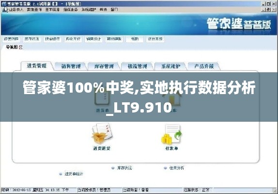 管家婆100%中奖,实地执行数据分析_LT9.910