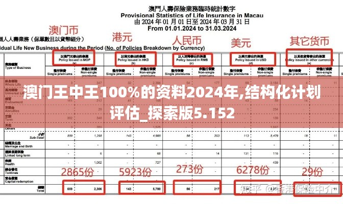 澳门王中王100%的资料2024年,结构化计划评估_探索版5.152