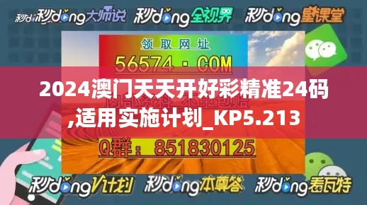 2024澳门天天开好彩精准24码,适用实施计划_KP5.213