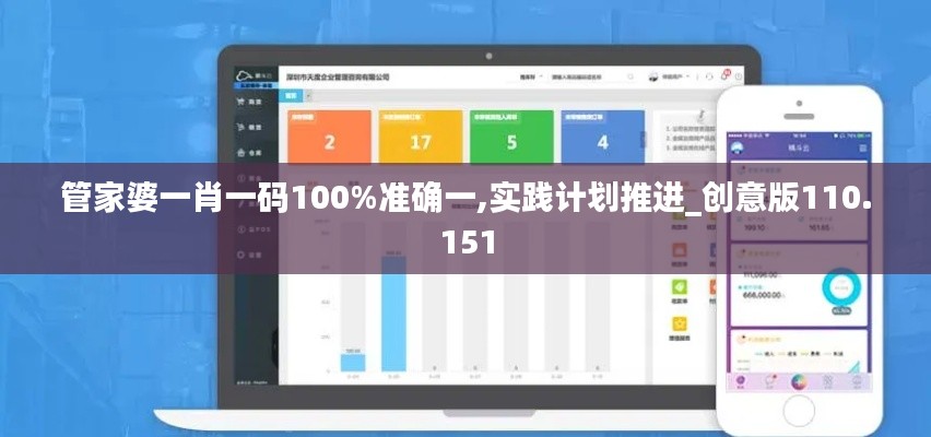 管家婆一肖一码100%准确一,实践计划推进_创意版110.151