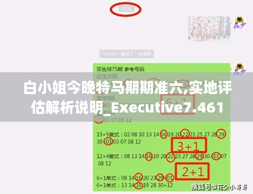 白小姐今晚特马期期准六,实地评估解析说明_Executive7.461