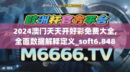 2024澳门天天开好彩免费大全,全面数据解释定义_soft6.848