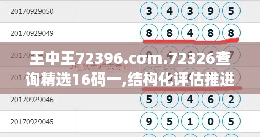 王中王72396.cσm.72326查询精选16码一,结构化评估推进_W3.177