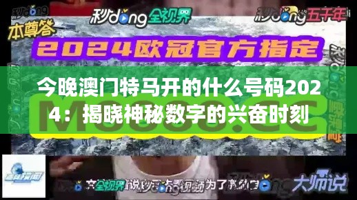 今晚澳门特马开的什么号码2024：揭晓神秘数字的兴奋时刻