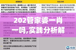 202管家婆一肖一吗,实践分析解释定义_专属版1.675