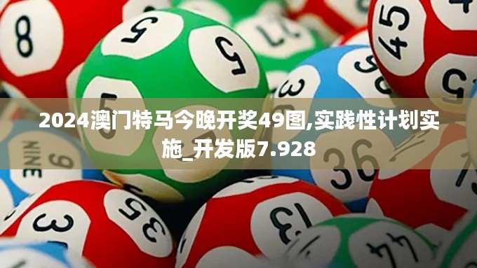 2024澳门特马今晚开奖49图,实践性计划实施_开发版7.928