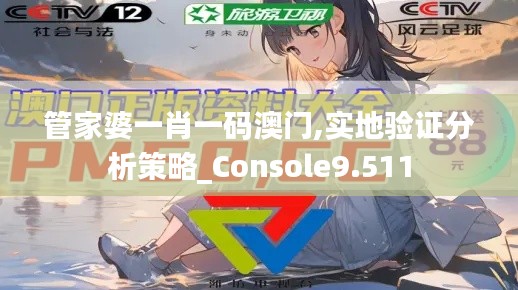 管家婆一肖一码澳门,实地验证分析策略_Console9.511