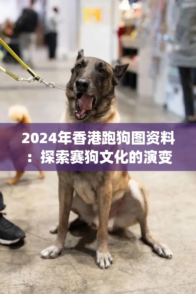 2024年香港跑狗图资料：探索赛狗文化的演变与传承