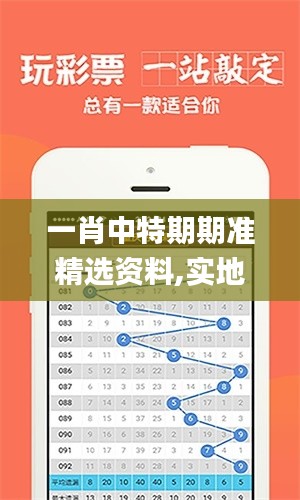 一肖中特期期准精选资料,实地评估策略_Advance2.137