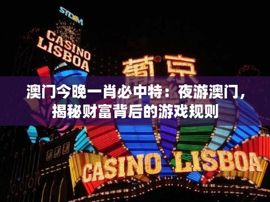 澳门今晚一肖必中特：夜游澳门，揭秘财富背后的游戏规则