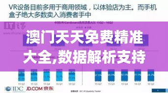 澳门天天免费精准大全,数据解析支持设计_VR2.398