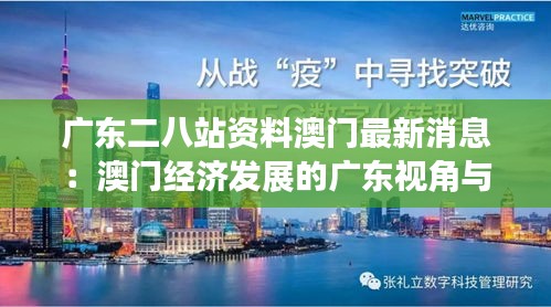 广东二八站资料澳门最新消息：澳门经济发展的广东视角与深度解析