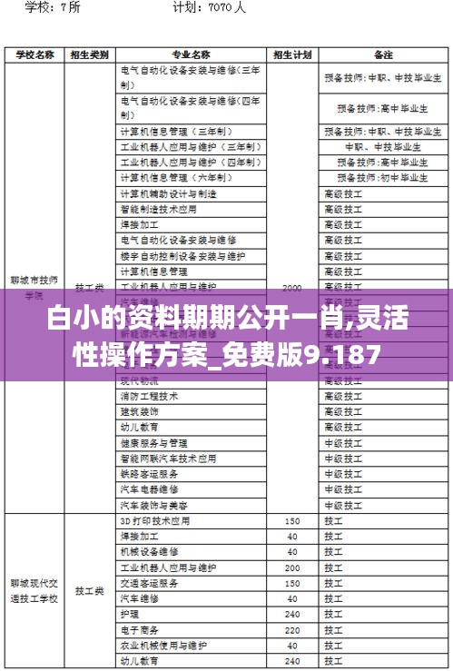 白小的资料期期公开一肖,灵活性操作方案_免费版9.187