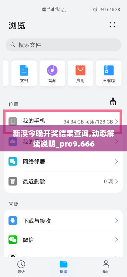 新澳今晚开奖结果查询,动态解读说明_pro9.666