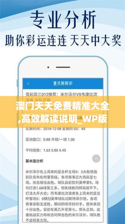 澳门天天免费精准大全,高效解读说明_WP版6.329