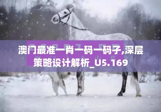 澳门最准一肖一码一码孑,深层策略设计解析_U5.169