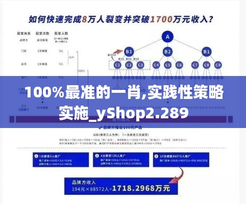 100%最准的一肖,实践性策略实施_yShop2.289