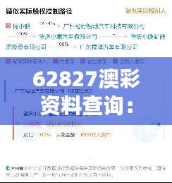 62827澳彩资料查询：精准分析的窗口，为您的投资决策提供有力参考