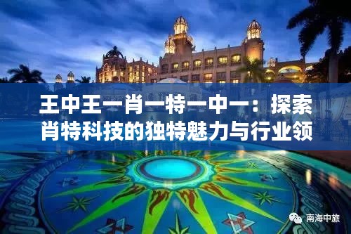 王中王一肖一特一中一：探索肖特科技的独特魅力与行业领先地位