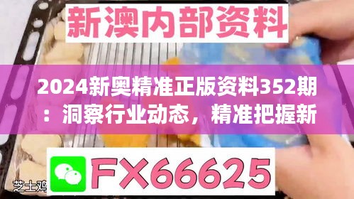 2024新奥精准正版资料352期：洞察行业动态，精准把握新奥资料核心价值