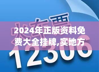 2024年正版资料免费大全挂牌,实地方案验证_eShop14.166